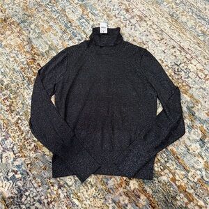 Express Glittery Black Turtleneck Sweater